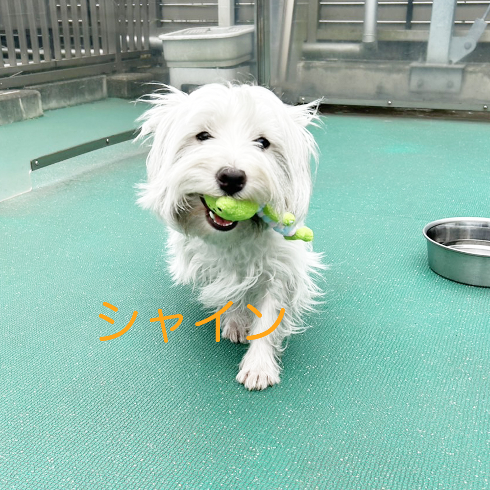 生徒が撮影してくれた写真①